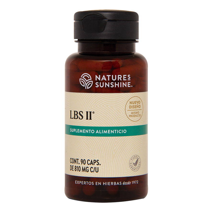 LBS-II