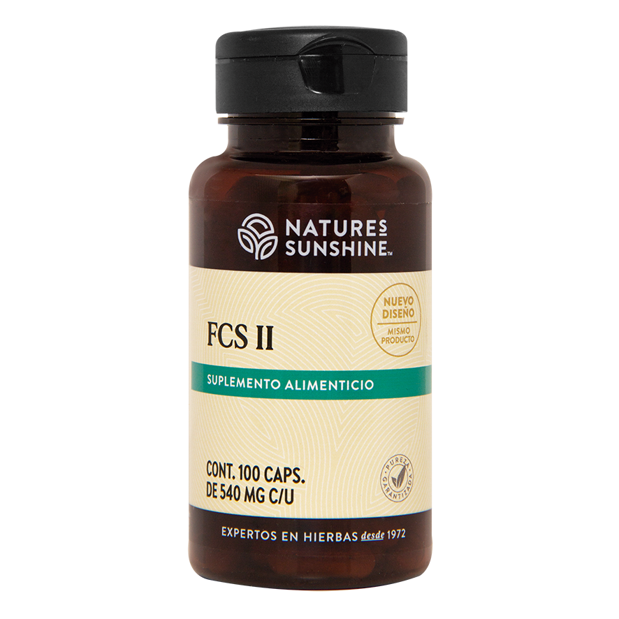 FCS II